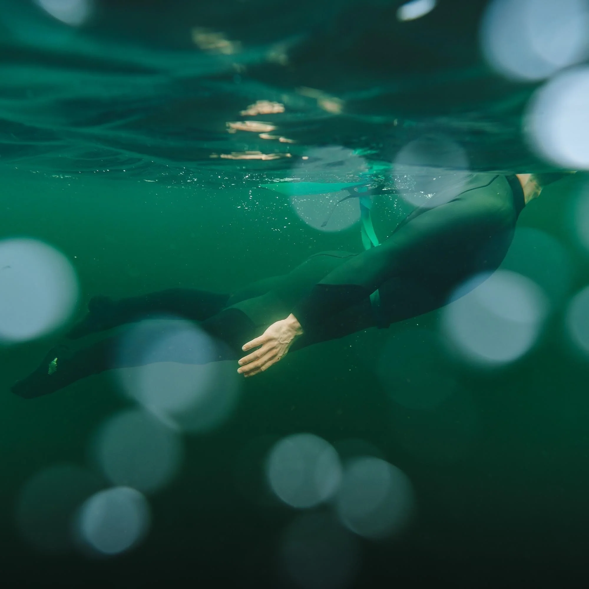 Terrapin Natural Swimming Wetsuit [Mens] - Image 5